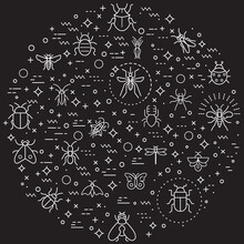 Simple Set Of Insect And Bug Related Vector Line Illustration. Contains Such Icons As Mosquito, Mantis, Moth, Ant, Bug Stick, Ladybug, Mite, Natural And Other Elements.