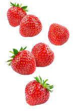 Strawberry Isolated. Flying Strawberries On White Background. Falling Strawberries On White. Side View. Full Depth Of Field.