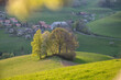 hills with group of trees in Emmental in spring