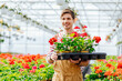 © Iryna - Portrait of happy smiling male gardener working in greenhouse. Gardening, profession and people concept.