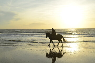 Riding horses at sunset