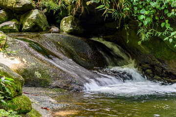 Wall Mural - Small cascade among the vegetation of the tropical forest in its natural state in the region of Itatiaia in the state of Rio de Janeiro, Brazil