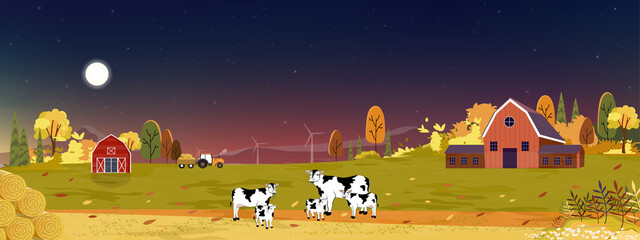 Wall Mural - Autumn night landscaps with harvet fram fields cows, trators,wooden barn on hills,Natural foliage background banner harvet in fall seson in countryside,Backdrop Mid Autumn view of eco village