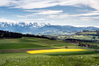 Gantrisch, Aaretal, zwischen Bern und Thun. Landschaft, Landwirtschaft, Felder und Wiesen, Rapsfeld, Gebirgskette, Gurnigel, Schweiz