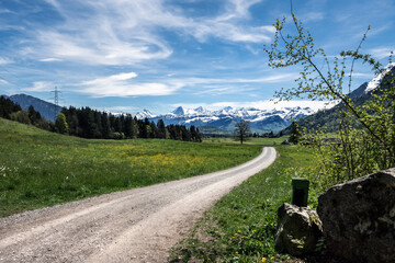 Wall Mural - Wanderweg Richtung Alpenkette im berner Oberland. Wandern, Fahrradfahren, Weg, Felder und Wiesen, Natur, Landschaft, Schweiz