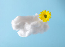 Fresh Yellow Summer Sunny Flower With White Cloud On Baby Blue Bright Background. Tropical Minimal Abstract Art. Minimal Background With Copy Space