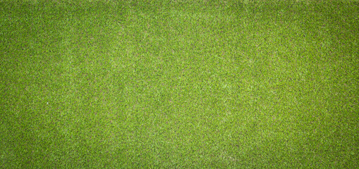 Canvas Print - grass texture for background