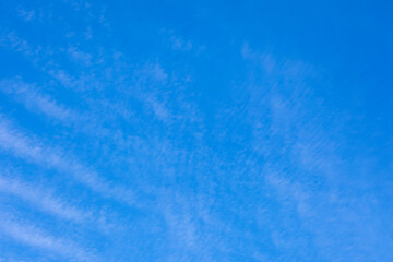 Wall Mural - blue sky with lush clouds, copying space
