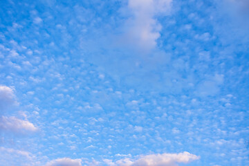 Wall Mural - abstract background, blue sky with white clouds, copy space