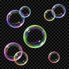 Poster - set of several translucent colored soap bubbles on transparent background. transparency only in vect