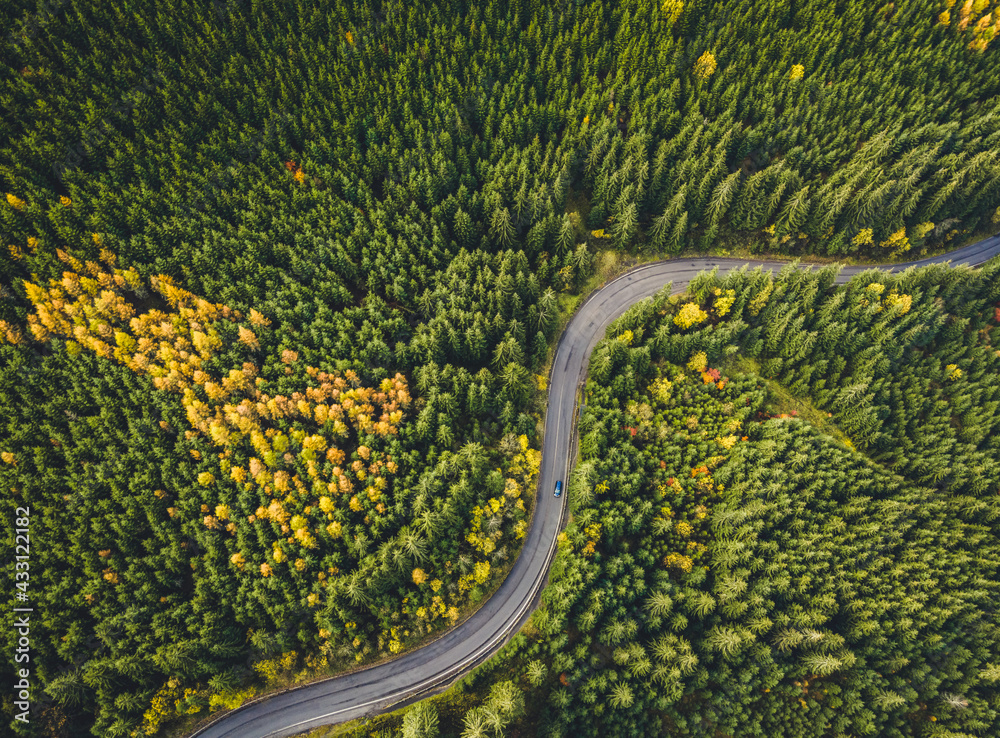 Aerial top view of misty forest with road in the mountains. Drone photography. Rainforest ecosystem and healthy environment concept. - obrazy, fototapety, plakaty 