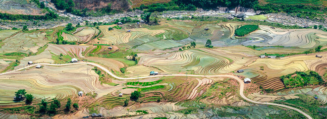 Panorama of terraced rice paddy with water in Y Ty, Lao Cai province, Vietnam.