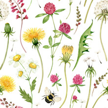 Seamless Pattern With Watercolor Illustrations Of Meadow Flowers On A White Background. Hand Painted For Design And Invitations.