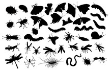 A Large Set Of Insects. Black Silhouette - Butterflies, Caterpillars, Spiders, Aphids, Wasps, Bees, Mosquitoes, Beetles, Worms, Dragonflies, Snails, Flies, Ants, Grasshoppers And Slugs.
