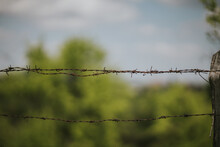 Closeup Shot Of A Twisted Copper Wire On A Wooden Fence With Blurred Trees In The Background