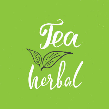 Herbal Tea lettering handwritten sign, Hand drawn grunge calligraphic text. Vector illustration