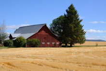 Red Barn In The Field