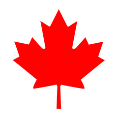 canadian flag maple leaf vector image