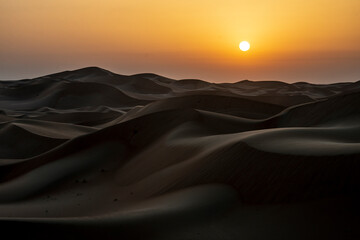 Wall Mural - Desert