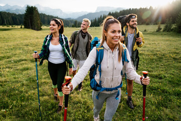 Wall Mural - group of fit healthy friends trekking in the mountains