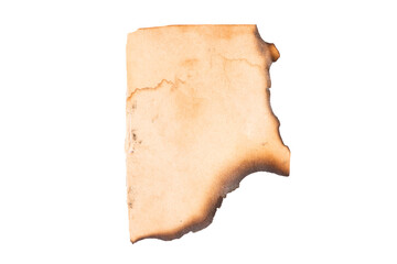 Poster - old leaf with charred edges isolated on a white background