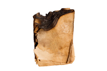 Poster - old leaf with charred edges isolated on a white background
