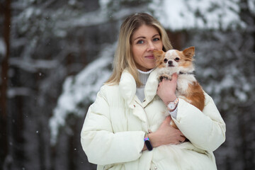 Wall Mural - Blonde young female holding ginger and white chihuahua in her hands. Snow and trees on the background