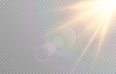 vector golden light with glare. sun, sun rays, dawn, glare from the sun png. gold flare png, glare f