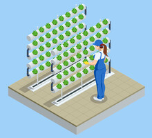Isometric Vegetable Hydroponic System, Modern Greenhouse Smart Plant Beds, Gardeners, Hydroponic And Aeroponic Systems. Organic Agriculture In The Greenhouse For Health Food