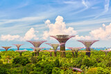 Fototapeta Nowy Jork - Singapore Supertrees Grove at the Gardens by the Bay