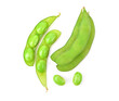 © Montree - Green soy beans isolated on white background. Top view.