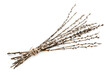 © Pixel-Shot - Willow branches on white background