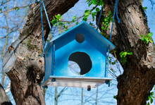 Blue Wooden Feeder For Birds Or Squirrels On Tree Branches Against The Clear Sky. Handmade Garden Decoration