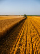 © oticki/Westend61 - Combine harvesting field of wheat