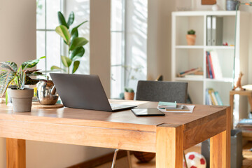 Interior of modern living room with laptop and potted plant on table at home