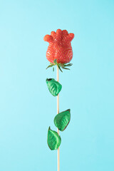 Wall Mural - Strawberry in the shape of a flower on a branch with leaves.  Spring concept on light blue  background.