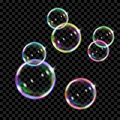 Poster - set of several translucent colored soap bubbles on transparent background. transparency only in vect