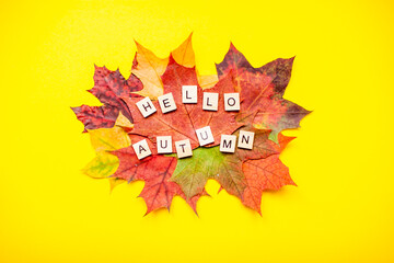 Inscription of wooden blocks hello autumn. Layout of red and orange autumn maple leaves and garden apples on a bright yellow background. Flat lay