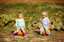 Brother And Sister Sitting On Pumpkins In Field