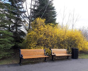 benches