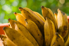 Bunch Of Plantains, Close-up