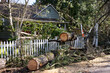 © Tada Images - Fallen tree in the front yard of a residential home after storm. The tree has been cut into sections before removal.