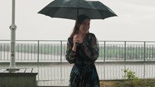 Joyful Lady In Wet Dress Hides Under Black Umbrella At Rain