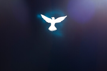 White dove silhouette on dark background with blue and purple light glares.