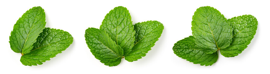 Mint leaf isolated. Fresh mint on white background. Set of mint leaves. Top view. Full depth of field.