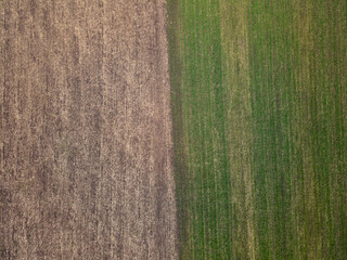 Aerial view of a two agriculture fields in countryside on a spring day. Drone shot