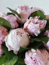 Close-up Of Flowers Peony Roses. Beautiful Peony Roses Flower For Catalog Or Online Store. Floral Shop Concept. Beautiful Fresh Cut Bouquet. Wallpaper