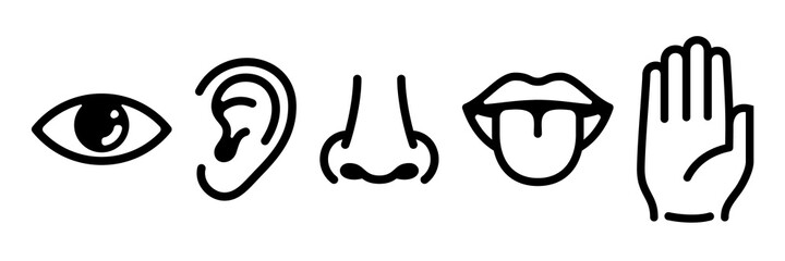 Five human senses icons set. Vision hearing smell touch taste signs