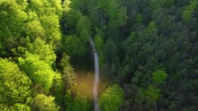 Mountain Valley Forest Road Between Green Trees. Aerial 4k Drone Top View.