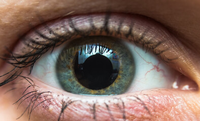 macro photo of a wide-open one human eye, eyeball with dilated pupil and reflection on its surface, gray eye color, painted and mascara eyeliner, fluffy eyelashes, women's cosmetics, self-care